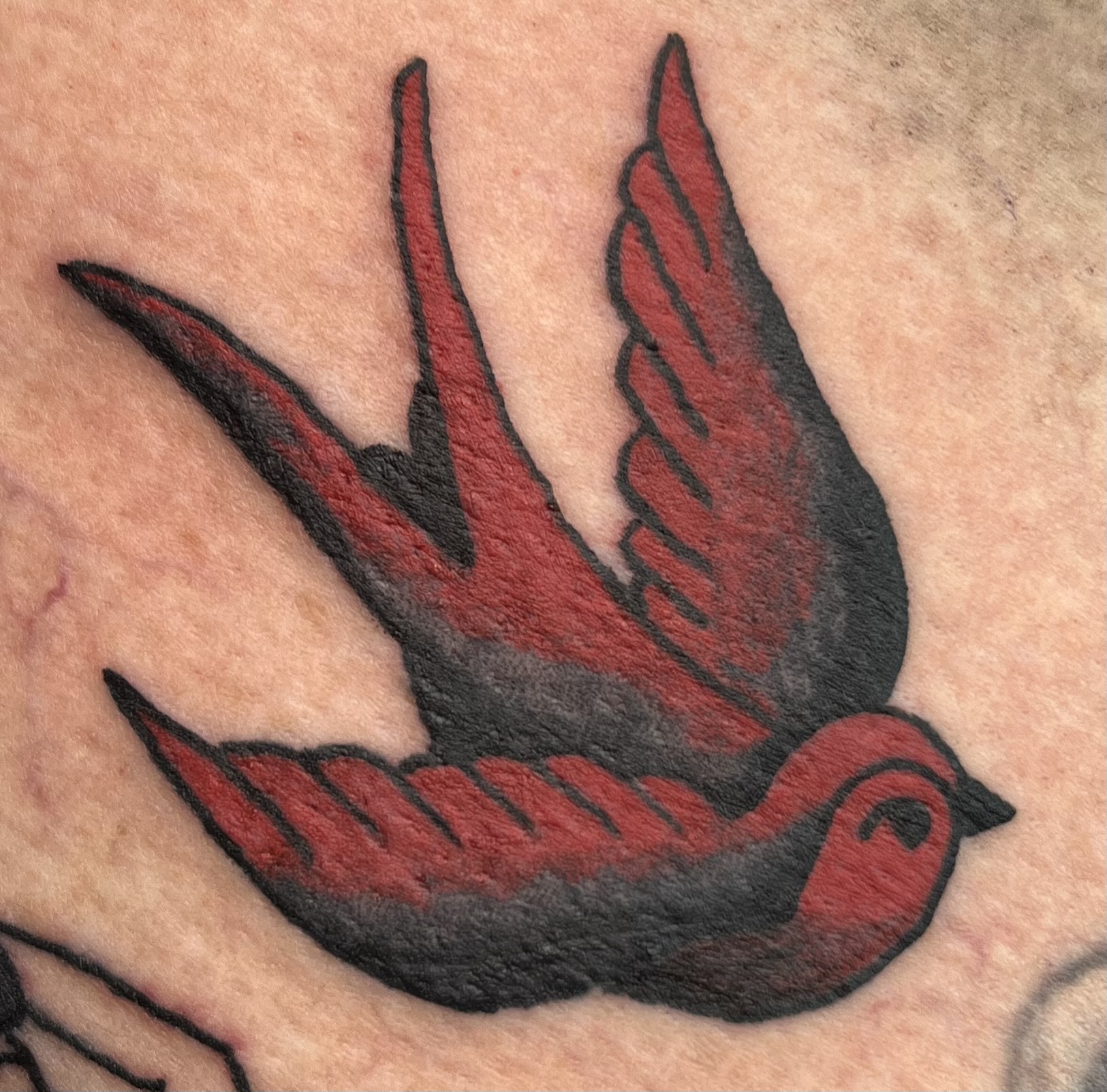 Tattoo by Dead Doll Tattoos, Brisbane — 3